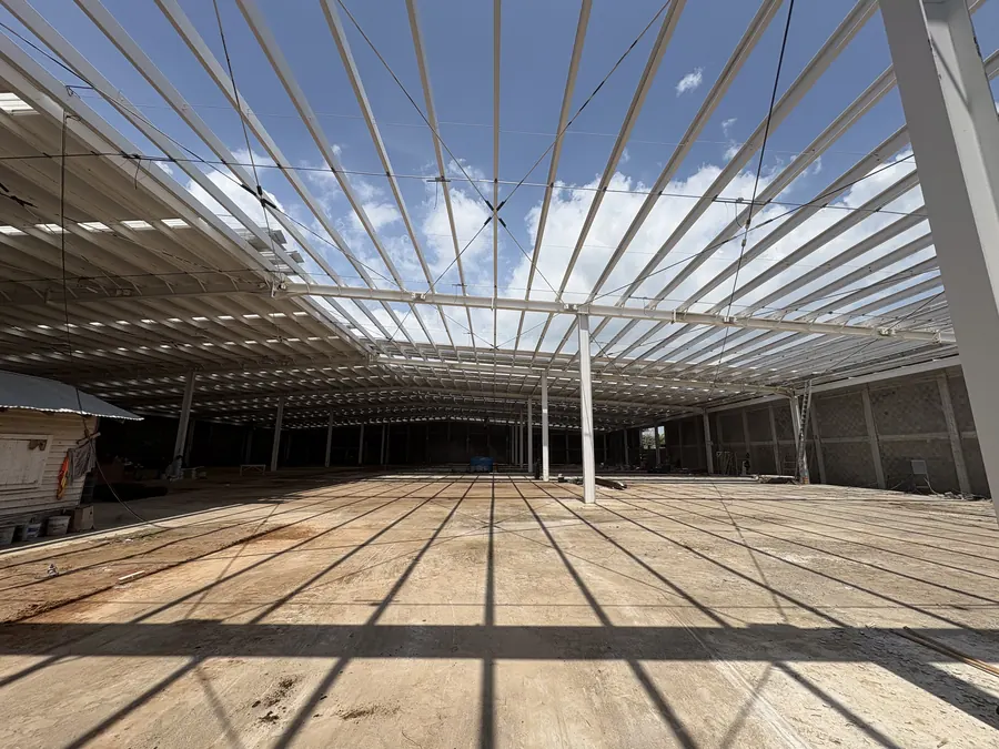 Fotografía del proyecto Nave Industrial Grupo Ibarra del portafolio LUCONSA: estructura de la cubierta vista desde el piso de la nave